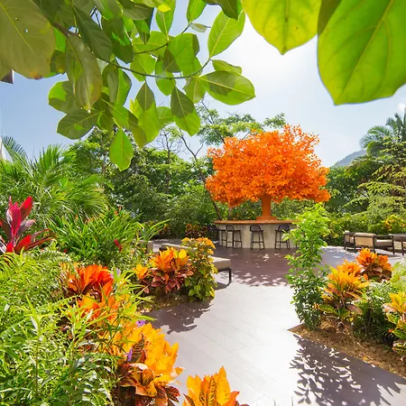 Hotel Mousai - Adults Only Puerto Vallarta-3